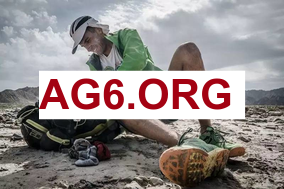 一场差一倍！猛龙确定每人5.3万奖金 尼克斯保底10.6万！